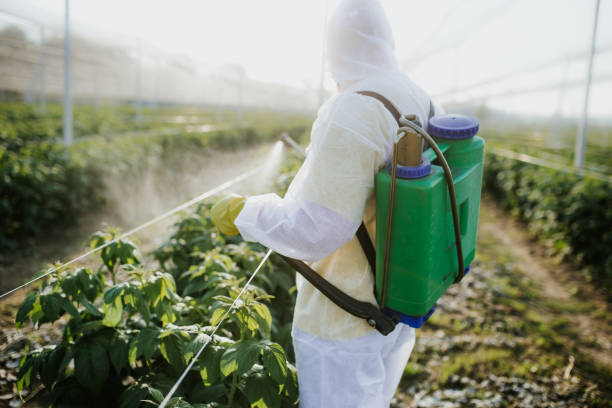 Best Pest Prevention Services  in Lanai City, HI